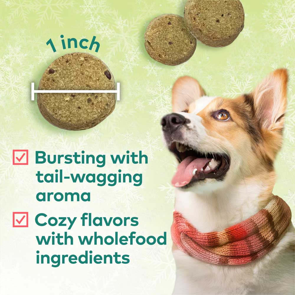Honest to Goodness® Plant Snacks Howliday Treats Apple Spice Recipe 4 oz Bag