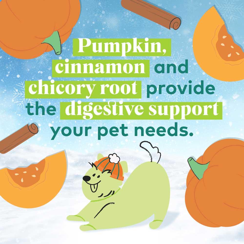Honest to Goodness® Plant Snacks Howliday Treats Pumpkin Spice Recipe