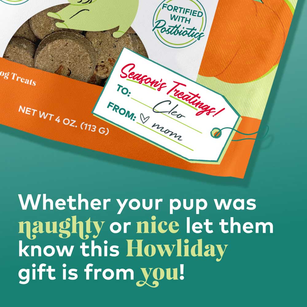 Honest to Goodness® Plant Snacks Howliday Treats Pumpkin Spice Recipe