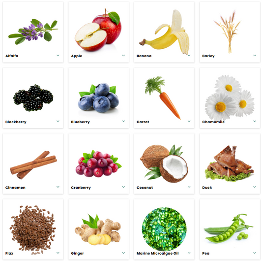 Honest to Goodness Ingredient Guide