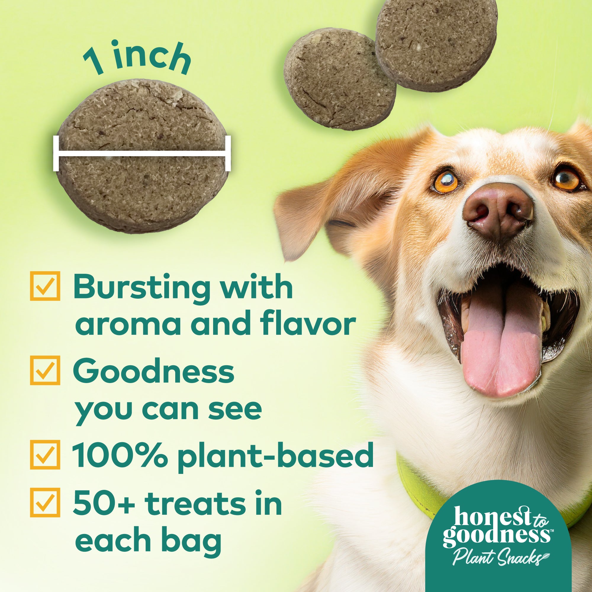 Honest to Goodness plant snacks are one inch in diameter, bursting with aroma and flavor. They have goodness you can see, are 100% plant-based, and have 50 plus treats in each 8 ounce bag.