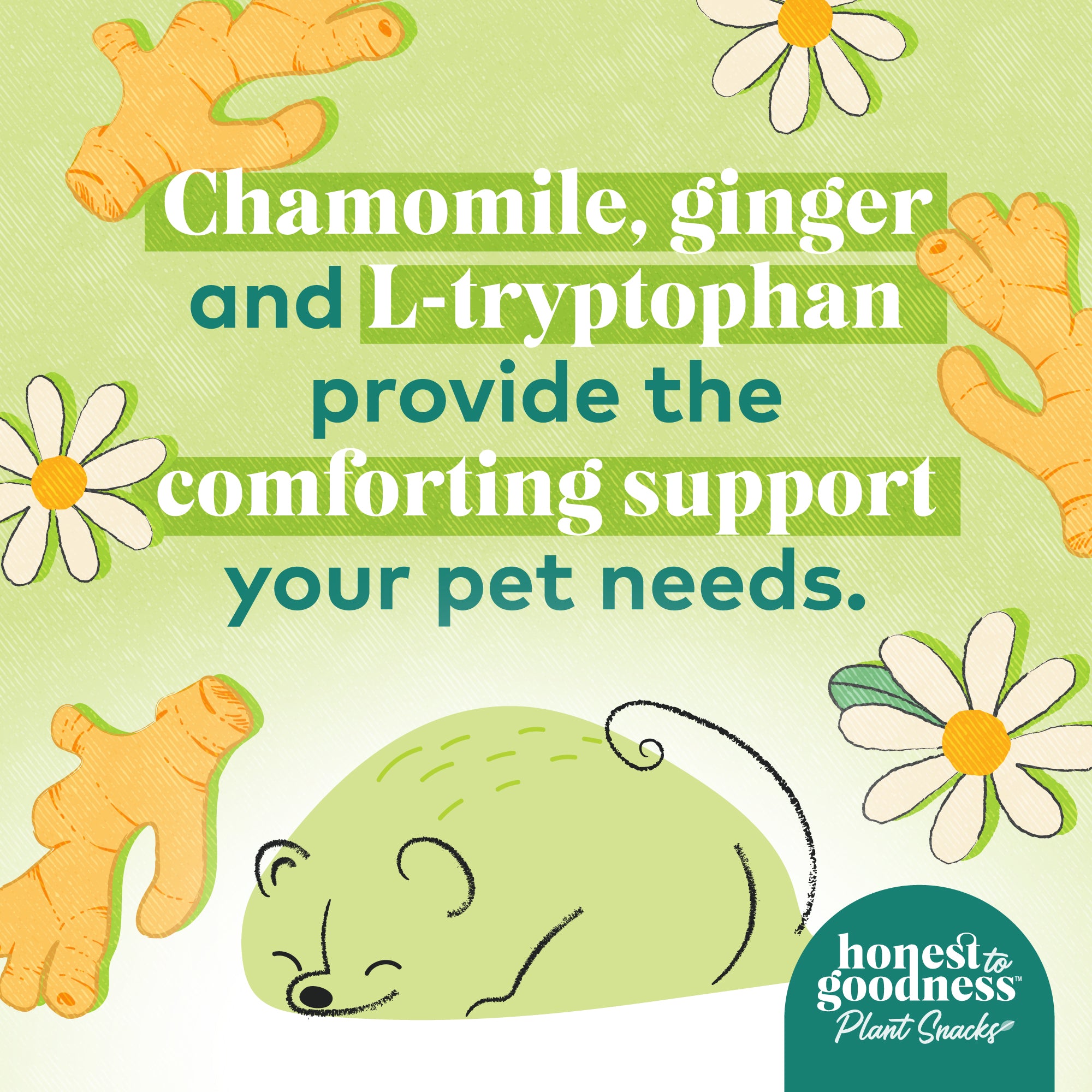 Chamomile, ginger and L-tryptophan provide the comforting support your pet needs.