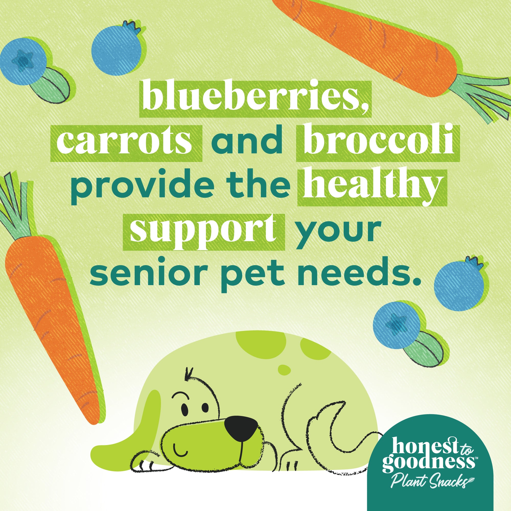 Blueberries, carrots and broccoli provide the healthy support your senior pet needs.  Honest to Goodness plant snacks for dogs.