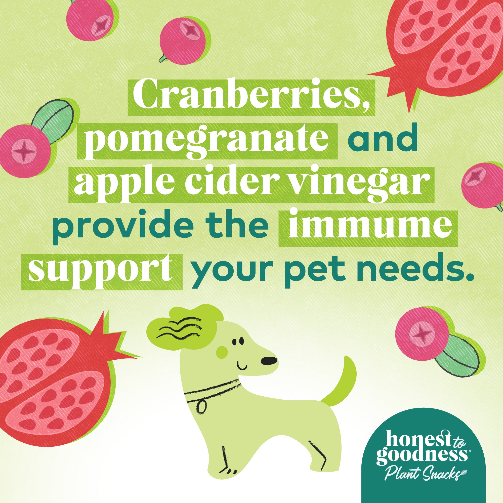 Cranberries, pomegranate and apple cider vinegar provide the immune support your pet needs.  Honest to Goodness plant snacks for dogs.