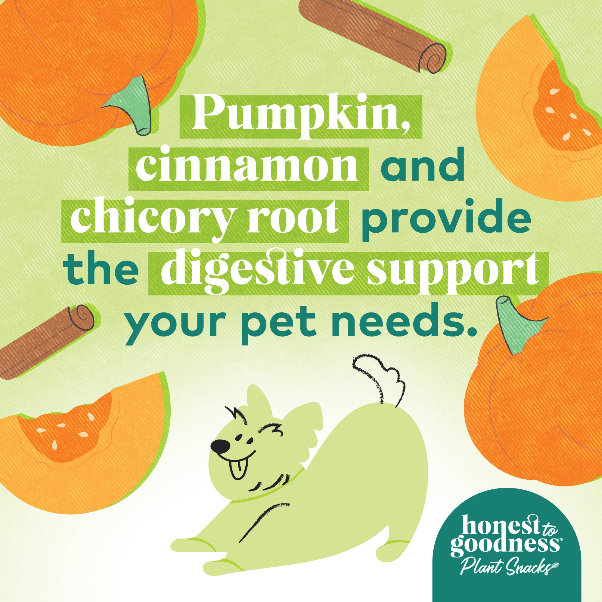 Pumpkin, cinnamon and chicory root provide the digestive support your pets need.
