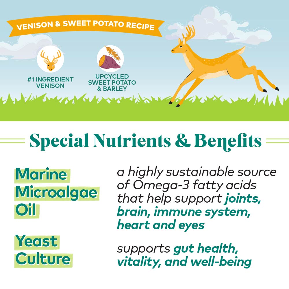 venison & sweet potato protein bites for dogs