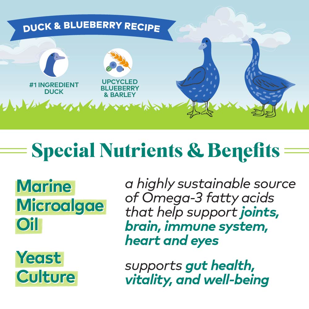 duck & blueberry protein bites for dogs