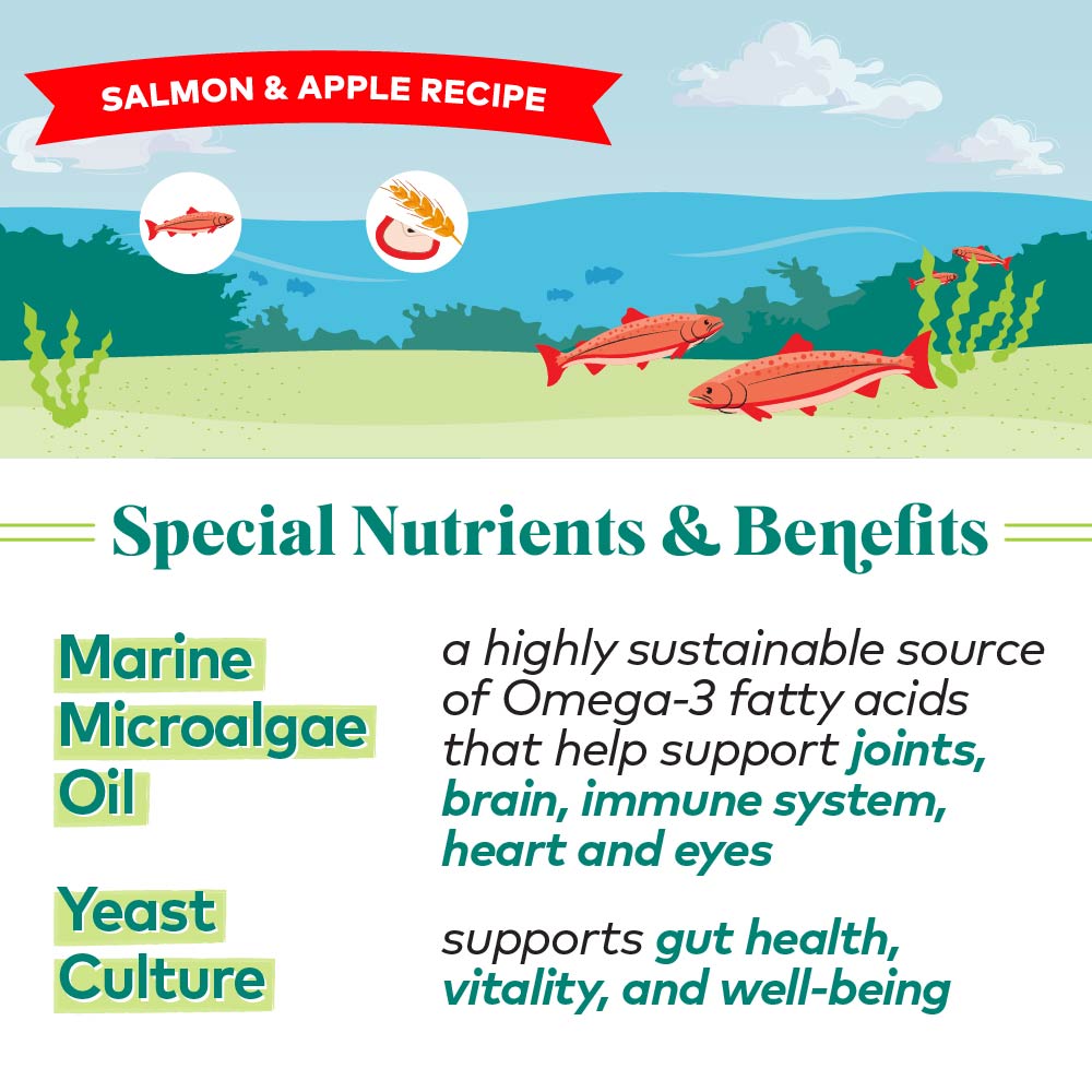 salmon & apple protein bites for dogs