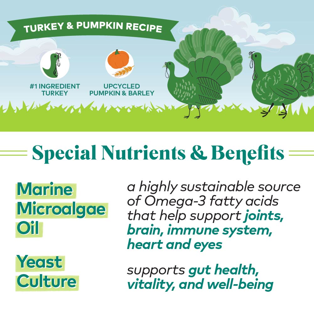 turkey & pumpkin protein bites for dogs