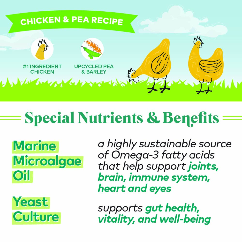 chicken & peas protein bites for dogs