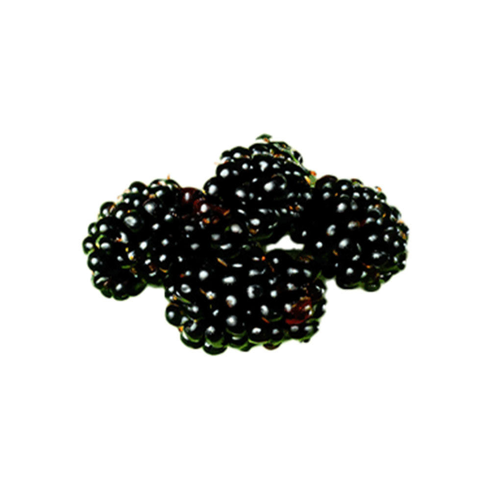 Blackberry