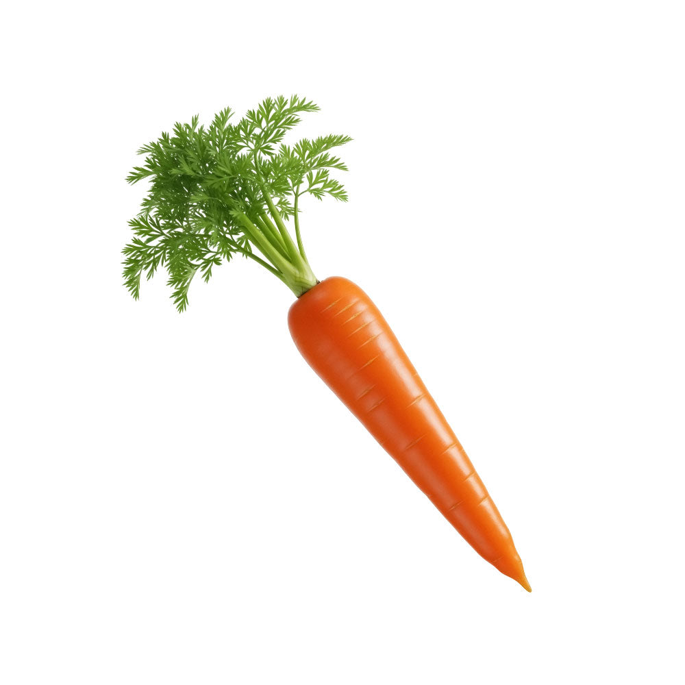 Carrot