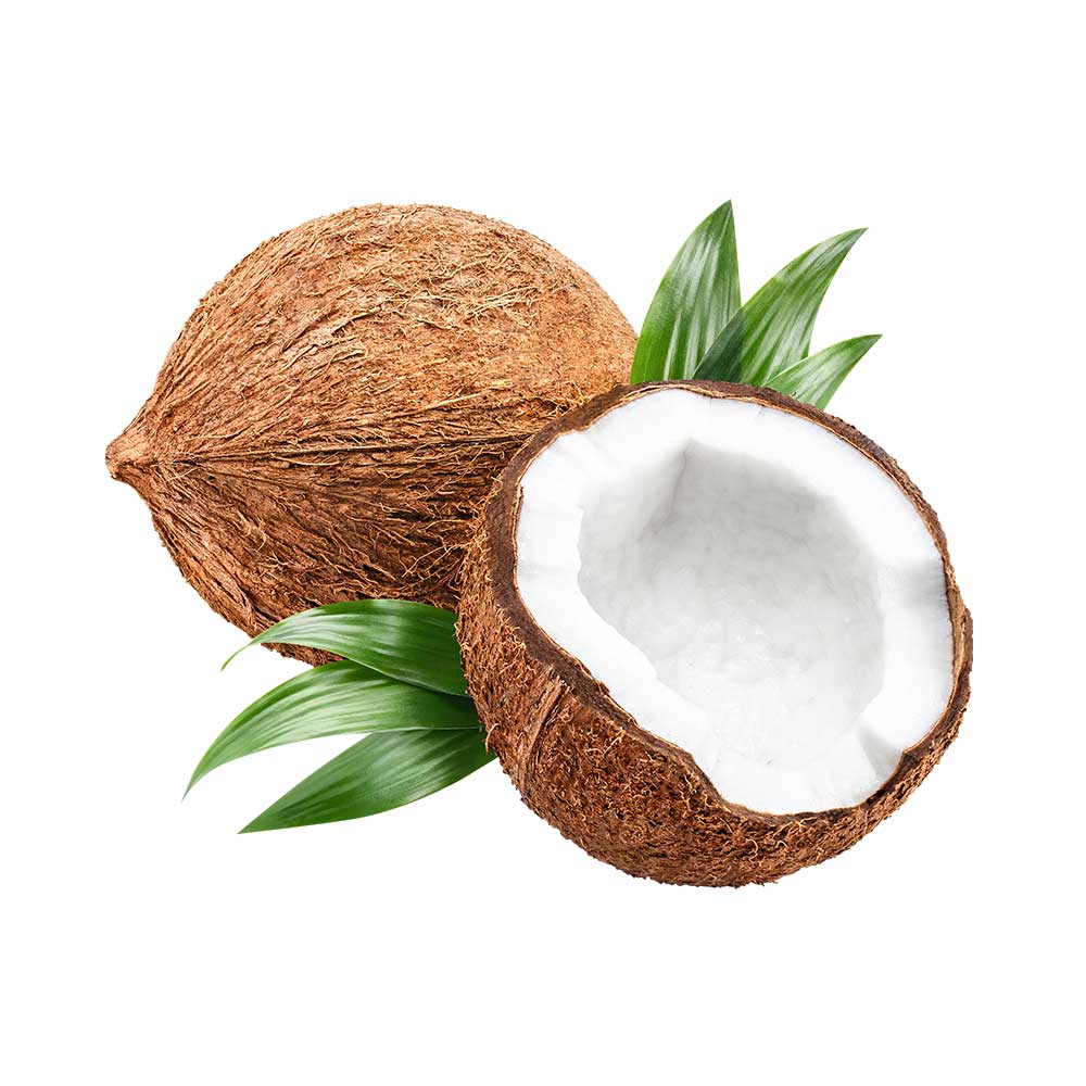 Coconut