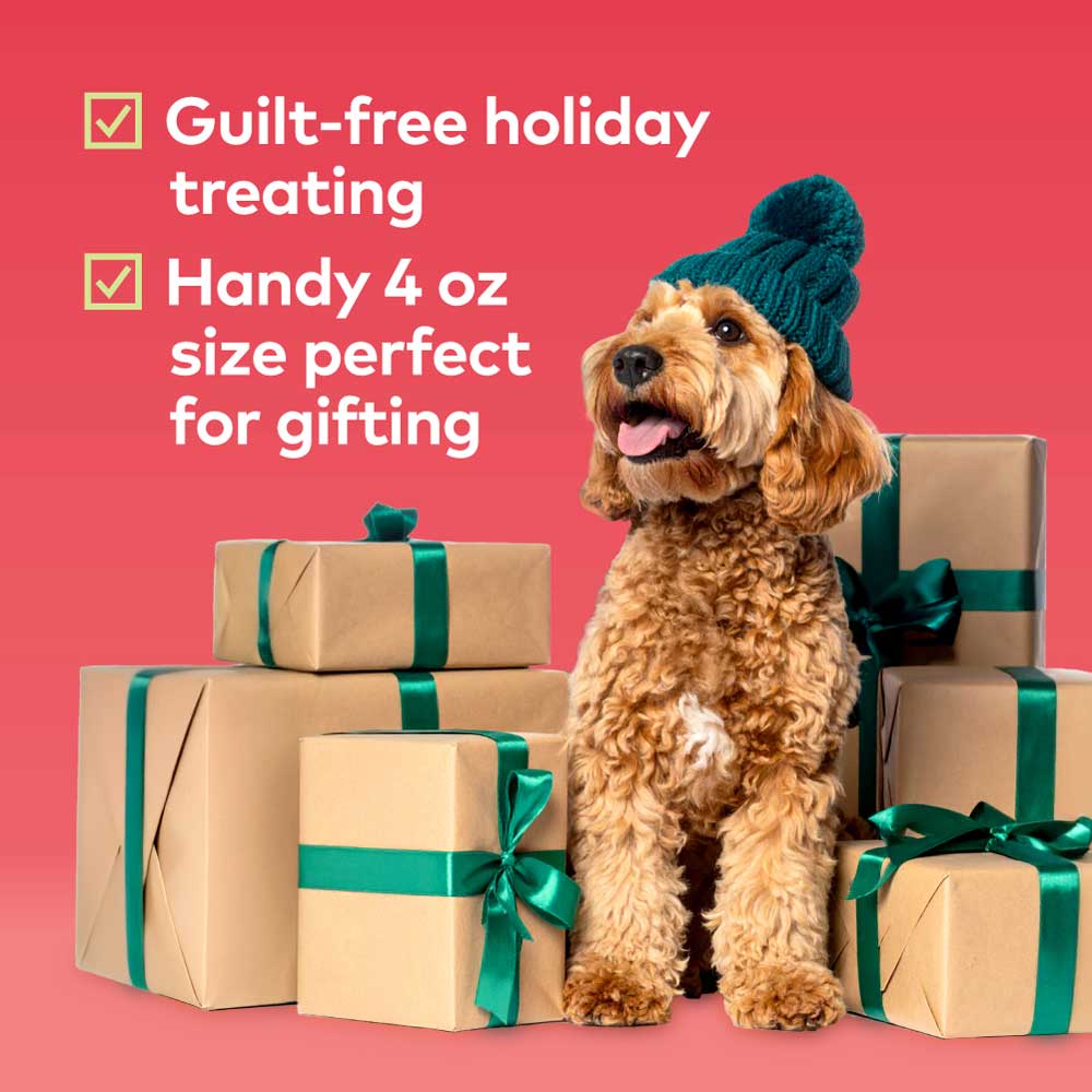 Honest to Goodness® Plant Snacks Howliday Treats Apple Spice Recipe 4 oz Bag
