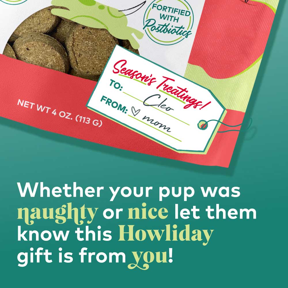 Honest to Goodness® Plant Snacks Howliday Treats Apple Spice Recipe 4 oz Bag