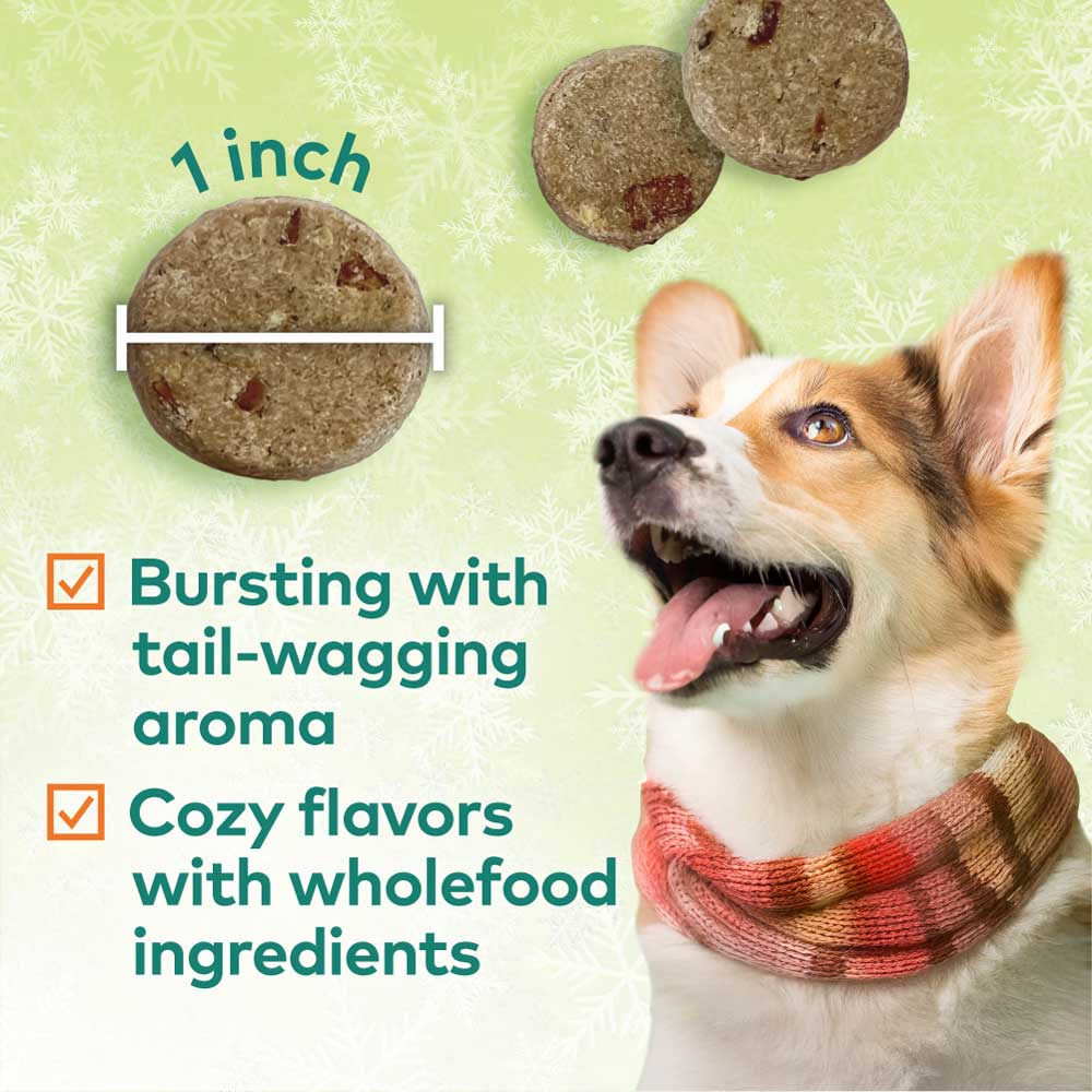 Honest to Goodness® Plant Snacks Howliday Treats Pumpkin Spice Recipe