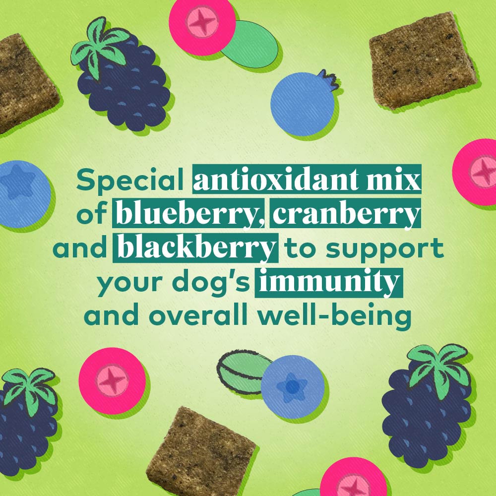Protein Bites for Dogs - Field & Forest 3pc Variety Pack