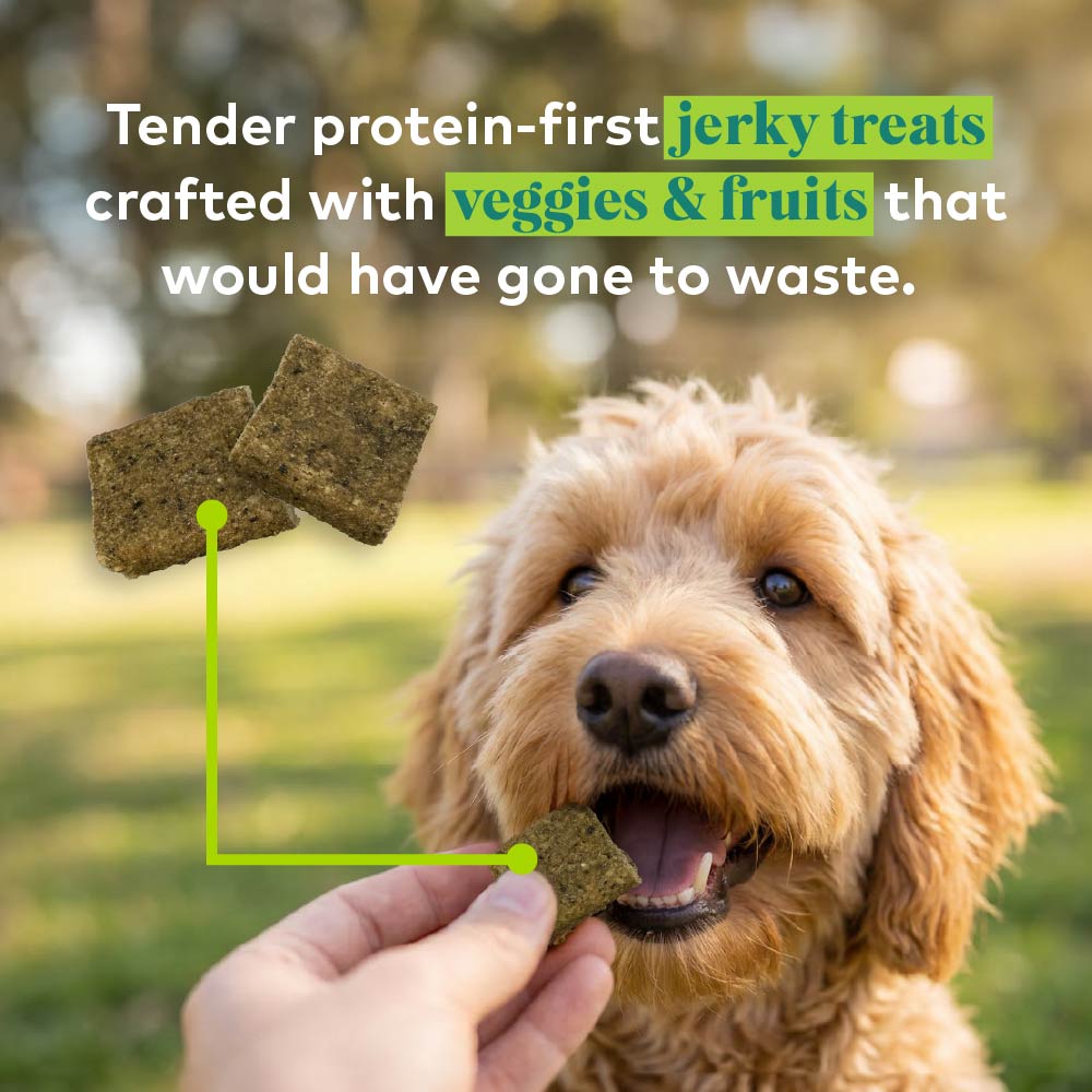 Protein Bites for Dogs - Field & Forest 3pc Variety Pack
