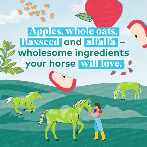 upcycled horse treats – apple