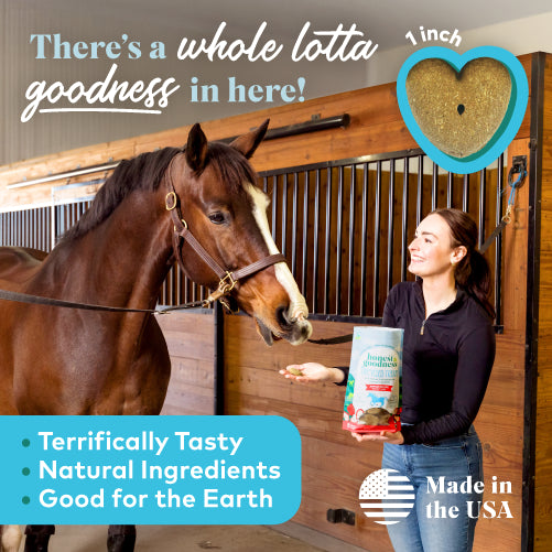 apple recipe for horses