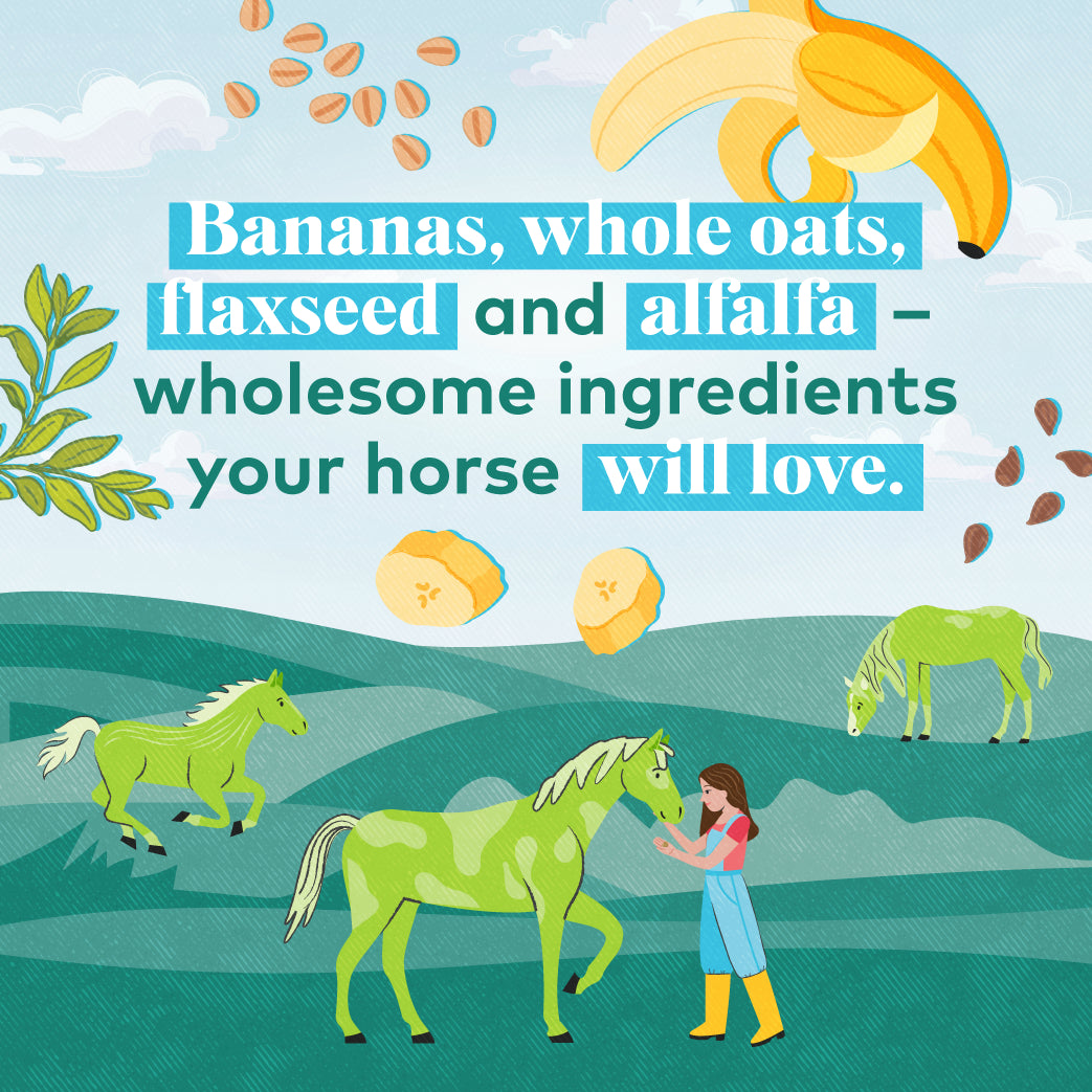 upcycled horse treats – banana