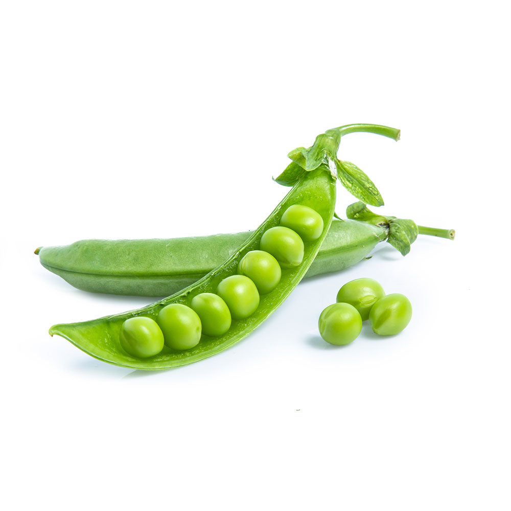 Pea