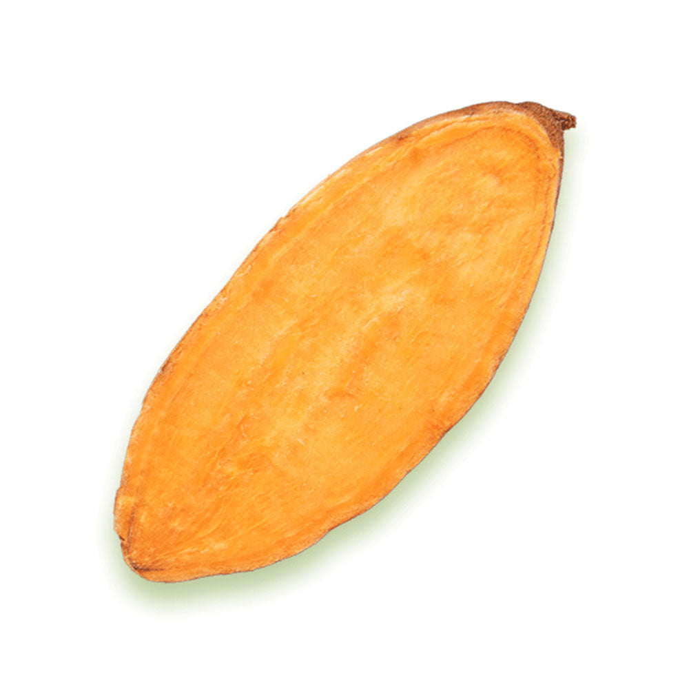 Sweet Potato